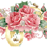 Bonjour tout le monde