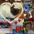 Cadeau photos montages!!!!