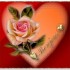 Bonjour a tous et toutes