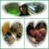 Quels anciens montages!!!!