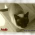 Quelques photos montage!!!!!