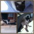 Quelques photos montage!!!!!