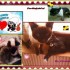 Quelques photos montage!!!!!