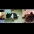 Quelques photos montage!!!!!