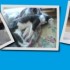 Quels anciens montages!!!!