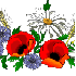 Mardi 15 Mars 2011