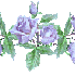 Mas provençal et rosier grimp