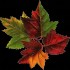Feuilles d’automne