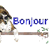 Bonjour tout le monde