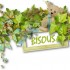 Bonjour tout le monde