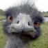 Un petit coucou en passant