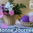 Bonjour tout le monde
