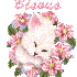 Bonjour tout le monde