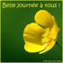 Bonjour tout le monde.