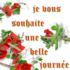 Bonjour tout le monde