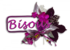 Bonjour tout le monde
