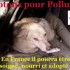URGENCE !!!! SVP VOTEZ pour Pollux