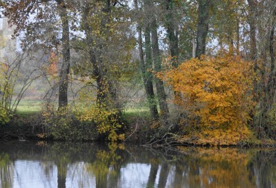 La Saône en novembre