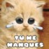 concour