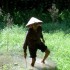 Hoa Lu / Tam coc