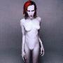 Description de Mechanical animals