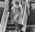 Marilyn et Arthur Miller : Arr