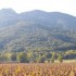 LE CANIGOU   (photos)