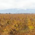 LE CANIGOU   (photos)