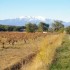 LE CANIGOU   (photos)