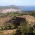 VENDANGES  A  BANYULS SUR MER