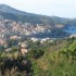 VENDANGES  A  BANYULS SUR MER