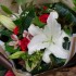 Bonne fête à nos Mamans ! (25 mai 2008)