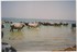 SENEGAL LE LAC ROSE (4)