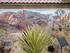 Dimanche 24 avril, Joshua Tree