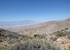 Dimanche 24 avril, Joshua Tree