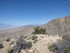 Dimanche 24 avril, Joshua Tree