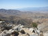 Dimanche 24 avril, Joshua Tree