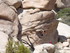 Dimanche 24 avril, Joshua Tree