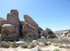 Dimanche 24 avril, Joshua Tree