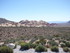 Mardi 26 avril, Red Rock Canyo