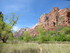 Dimanche 1er mai, Zion Nationa