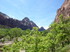 Dimanche 1er mai, Zion Nationa