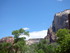 Dimanche 1er mai, Zion Nationa