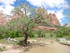 Dimanche 1er mai, Zion Nationa