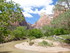 Dimanche 1er mai, Zion Nationa