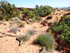 Jeudi 19 mai, Arches National 