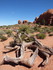 Jeudi 19 mai, Arches National 