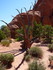 Jeudi 19 mai, Arches National 