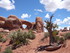 Jeudi 19 mai, Arches National 