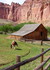 Samedi 21 mai, Capitol Reef Na